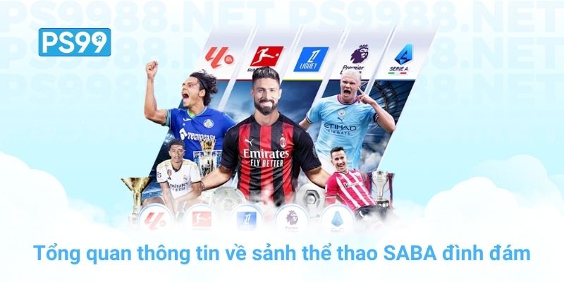 Tổng quan thông tin về sảnh thể thao SABA đình đám